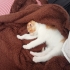 Oyuncu çok akıllı kum eğitimi var fotoğraf