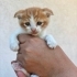 Oyuncu çok akıllı kum eğitimi var fotoğraf