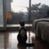 Engelli Canlara öncelik fotoğraf