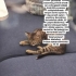 Acil Yuva Miniğe (Tokat) fotoğraf
