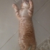 Annesiz bebege acil yuva fotoğraf