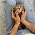 Onların Dünyası Sizin Ellerinizde 4 Sevgi Pıtırcığı Ömürlük Ailesini Bekliyor fotoğraf