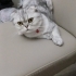 Acil yuva güzel kızımıza fotoğraf