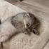 Acil yuva güzel kızımıza fotoğraf