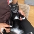 Ying Yang dengesinde damağı mühürlü bebek fotoğraf