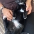 Ying Yang dengesinde damağı mühürlü bebek fotoğraf
