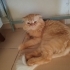 Bambam, 1 yaşında fotoğraf