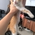 EVİNE CANLILIK İSTEYENLERE fotoğraf