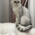 Sakin ve sessiz fotoğraf