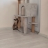Ücretsiz sahiplenme fotoğraf