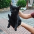 Bu minik canlara can olalım fotoğraf