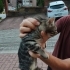 Bu minik canlara can olalım fotoğraf