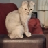 Sakin cana yakın fotoğraf