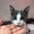 Sokağa dönmesin 💔 fotoğraf