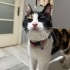 Acil yuva arıyorum fotoğraf