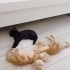 1 AYLIK DİŞİ VE ERKEK BEBİŞLER..!! fotoğraf