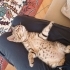 Güneş gibi bir peri kız fotoğraf