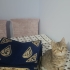 Gofrete yuva !! fotoğraf
