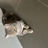 Bebeğimiz Ailesini Arıyor fotoğraf