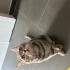 Bebeğimiz Ailesini Arıyor fotoğraf