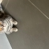 Bebeğimiz Ailesini Arıyor fotoğraf