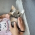 Lütfen sokakta yuvasiz kalmasinlar fotoğraf
