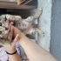 Lütfen sokakta yuvasiz kalmasinlar fotoğraf