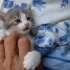 1 AYLIK GRİ BEYAZ YUVARLAK SURAT BEBİŞ fotoğraf