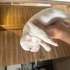 1 Aylık French Bulldog Yavrusu ÜCRETSİZDİR ! fotoğraf
