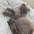 Acil yuva arıyorum fotoğraf
