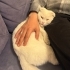 Yeni Yuva arıyoruz fotoğraf