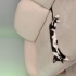 Tuxedo Tekir Kedi fotoğraf