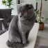 AYLARDIR KLİNİK KAFESİNDEYİM fotoğraf