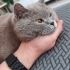 Çok acil yuva bu güzel kıza fotoğraf