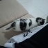 ACİL YAVRU KEDİLER fotoğraf