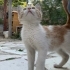 Oyun oynamaya ve kendini sevdirmeye bayılıyor sıcakkanlı fotoğraf