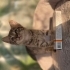Max 2 aylık iki kardeş fotoğraf