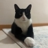YENİ YUVAMI ARIYORUM fotoğraf