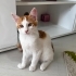 Simbamız için yuva fotoğraf