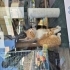 Kendi sevdirmeye bayılan kedi fotoğraf