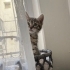 1 aylık minik patilere hayran kalacaksınız🥰 fotoğraf
