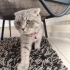 EVDEN  ATILAN. PRENSESE  YUVA ARIYRUZ fotoğraf