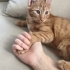 Kalıcı yuvasını arıyoruz fotoğraf
