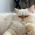 Müezzamıza yuva arıyoruz fotoğraf