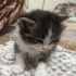 Ömür boyu güvenilir yuva arıyoruz fotoğraf