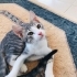 Sokağa dönmesin acill yuva fotoğraf