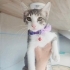 Sokağa dönmesin acill yuva fotoğraf