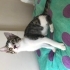 Sokağa dönmesin acilll yuvaaa fotoğraf