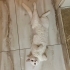 Prenses Gibi, bembeyaz Kızımıze Ömürlük Yuva 🤍 fotoğraf