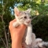 Bonibonlara ömürlük yuva :) fotoğraf